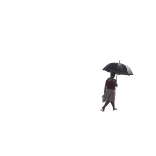 umbrella, hat, animal, dress, pixel art, concept art, 3d render, photorealistic transparent PNG cut-out