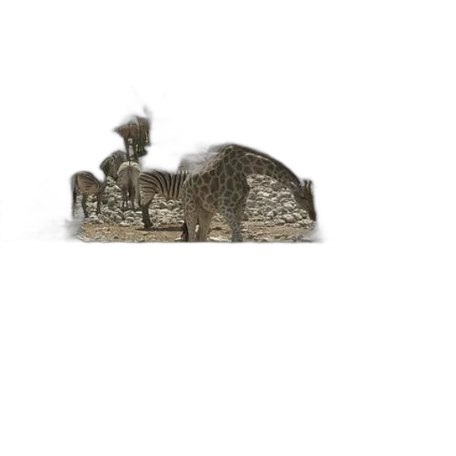 animal, crown, hat, creature, 3d render, photorealistic, concept art, forest transparent PNG cut-out