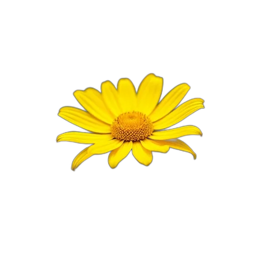 flower, jewelry, crown, staff, photorealistic, 3d render, oil painting, pixel art transparent PNG cut-out