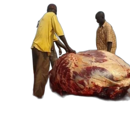 food, animal, weapon, photorealistic, three, men, stand, around transparent PNG cut-out