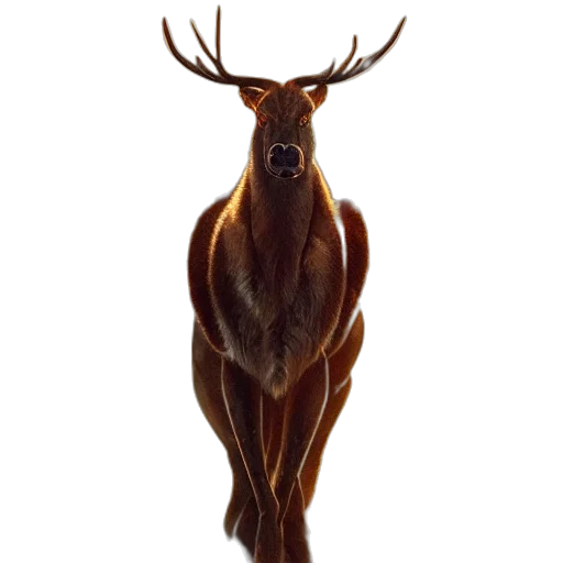 animal, creature, crown, staff transparent PNG cut-out