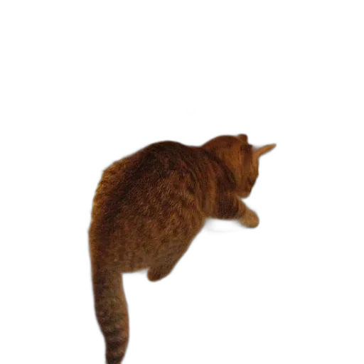 animal, staff, creature, hat, photorealistic, 3d render, concept art, pixel art transparent PNG cut-out