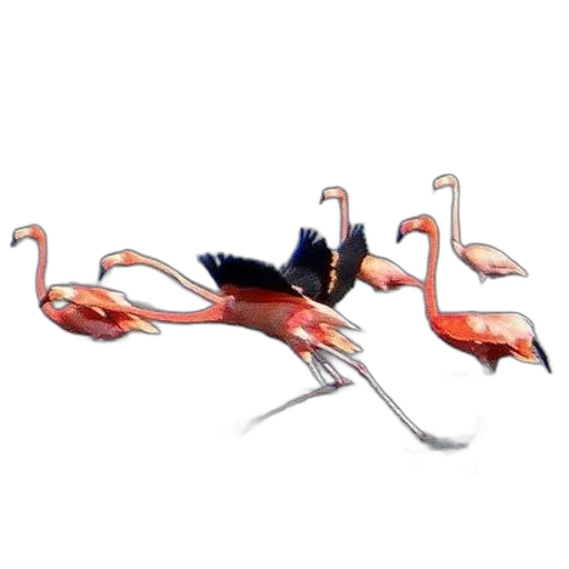 animal, creature, staff, weapon, concept art, 3d render, fantasy art, pixel art transparent PNG cut-out