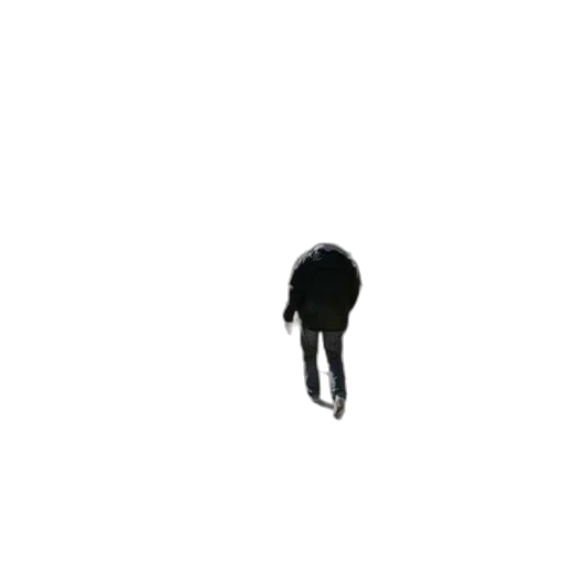 hair, creature, animal, hat, pixel art, 3d render, concept art, photorealistic transparent PNG cut-out
