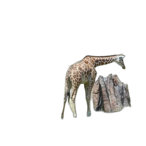animal, creature, furniture, weapon, 3d render, concept art, photorealistic, pixel art transparent PNG cut-out