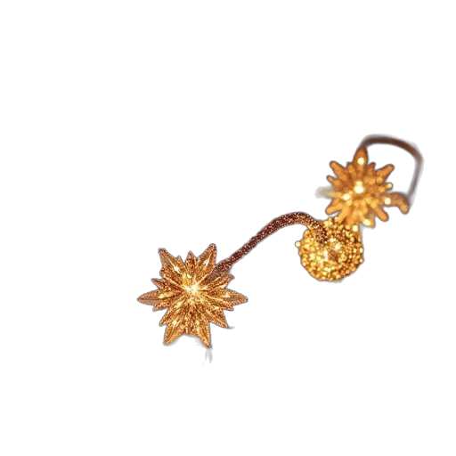 jewelry, crown, staff, flower transparent PNG cut-out