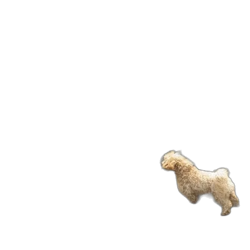 animal, creature, hair, food, pixel art, concept art, 3d render, photorealistic transparent PNG cut-out