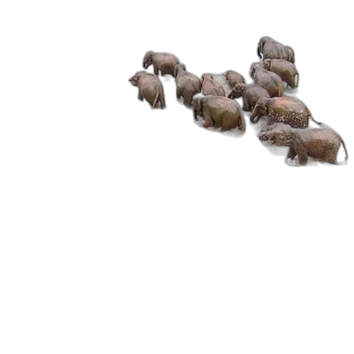 animal, weapon, staff, hair, 3d render, concept art, photorealistic, underwater transparent PNG cut-out