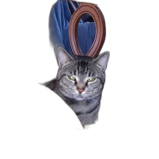 jewelry, staff, hat, animal, photorealistic, 3d render, concept art, cat transparent PNG cut-out