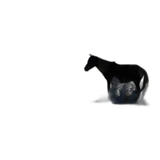 animal, bottle, furniture, creature, 3d render, photorealistic, concept art, pixel art transparent PNG cut-out