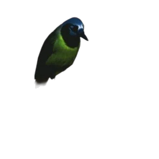 animal, staff, jewelry, creature, 3d render, photorealistic, pixel art, concept art transparent PNG cut-out