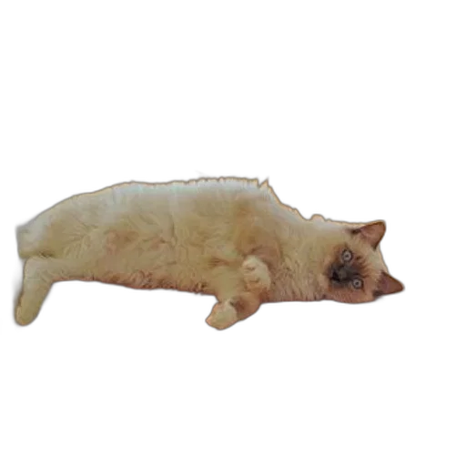 animal, creature, food, staff, 3d render, photorealistic, concept art, oil painting transparent PNG cut-out