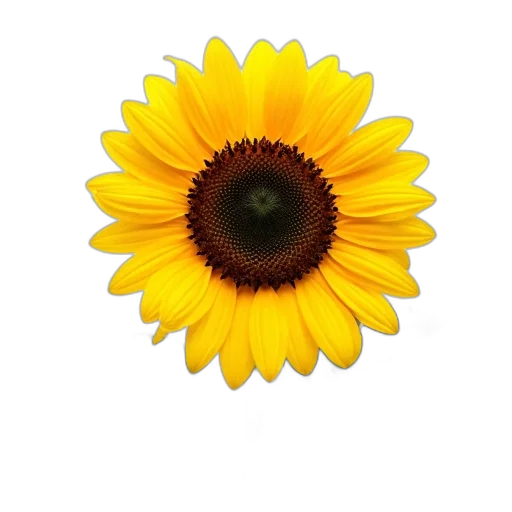 flower, crown, jewelry, face, photorealistic, 3d render, oil painting, watercolor transparent PNG cut-out