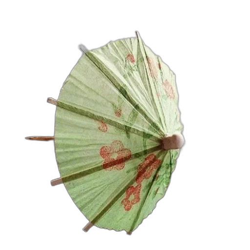 umbrella, staff, flower, weapon, photorealistic, 3d render, concept art, rain transparent PNG cut-out