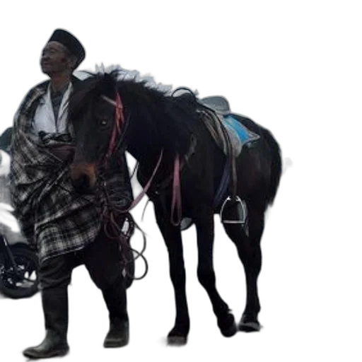 jacket, animal, concept art, person, traditional, attire, leads, saddled transparent PNG cut-out
