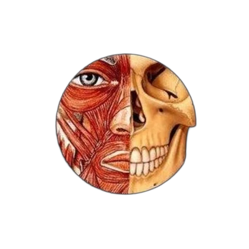 mask, face, jewelry, photorealistic, concept art, watercolor, 3d render, earth tones transparent PNG cut-out