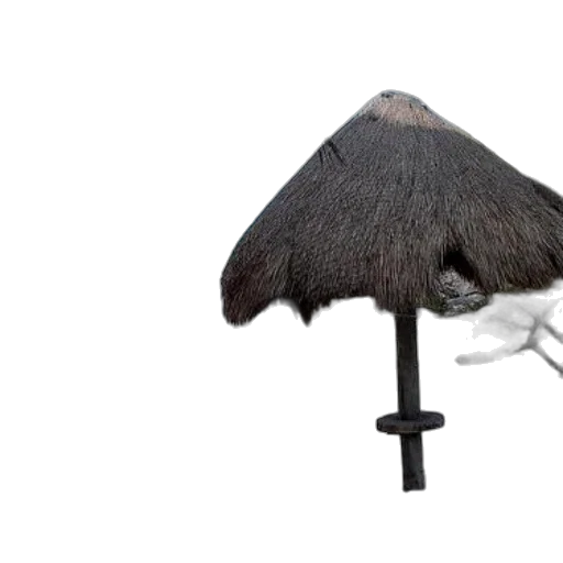 umbrella, hat, staff, jacket, 3d render, concept art, photorealistic, serene transparent PNG cut-out