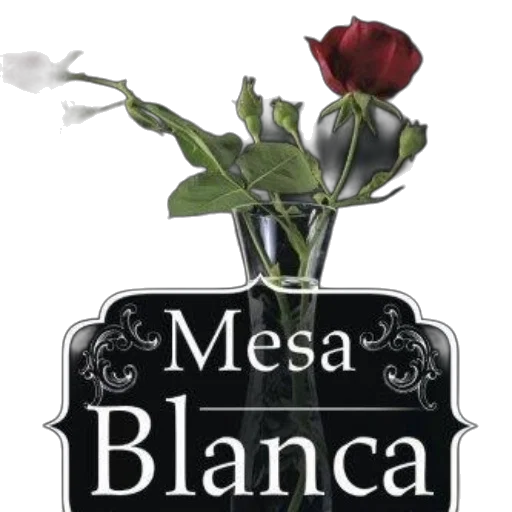 flower, 3d render, photorealistic, monochrome, black, white, image, text transparent PNG cut-out