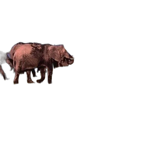 animal, creature, weapon, food, concept art, 3d render, pixel art, photorealistic transparent PNG cut-out