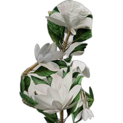 flower, crown, jewelry, staff, 3d render, photorealistic, concept art, fantasy art transparent PNG cut-out
