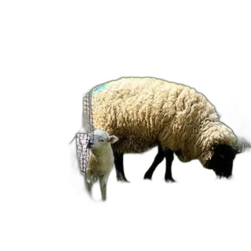 animal, jewelry, weapon, dress, 3d render, pixel art, photorealistic, lamb transparent PNG cut-out