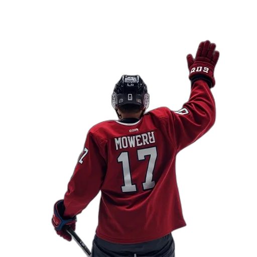 staff, person, hockey, player, waves, fans, during, game transparent PNG cut-out