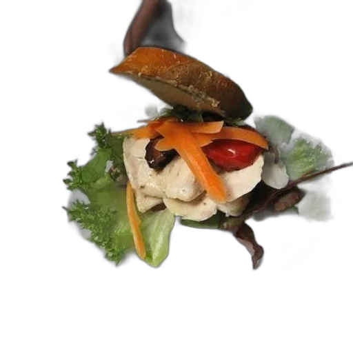 food, hat, animal, dragon, photorealistic, 3d render, concept art, underwater transparent PNG cut-out