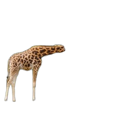 animal, creature, staff, umbrella, 3d render, concept art, photorealistic, pixel art transparent PNG cut-out