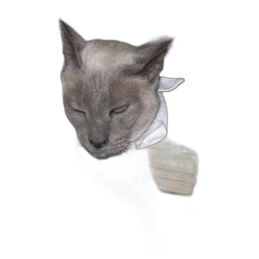 hat, staff, mask, jewelry transparent PNG cut-out