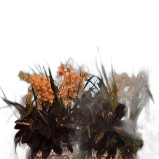 crown, flower, hair, dragon, 3d render, photorealistic, concept art, oil painting transparent PNG cut-out