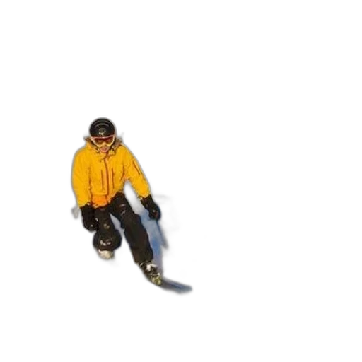 jacket, staff, weapon, animal, 3d render, concept art, pixel art, photorealistic transparent PNG cut-out
