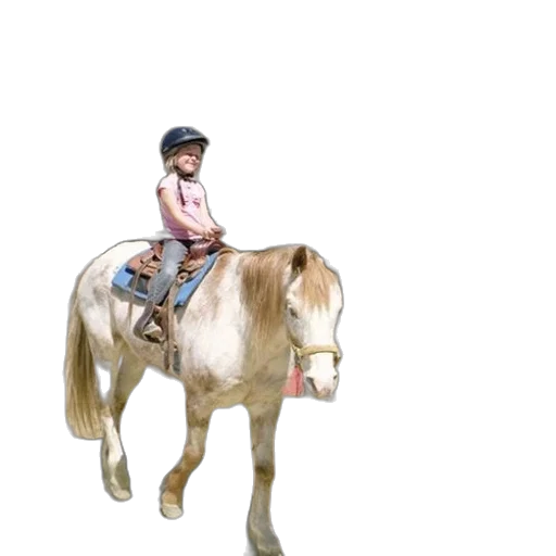 animal, hat, staff, creature transparent PNG cut-out