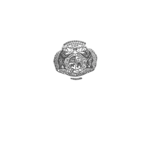 jewelry, crown, flower, face, 3d render, photorealistic, pencil sketch, document transparent PNG cut-out