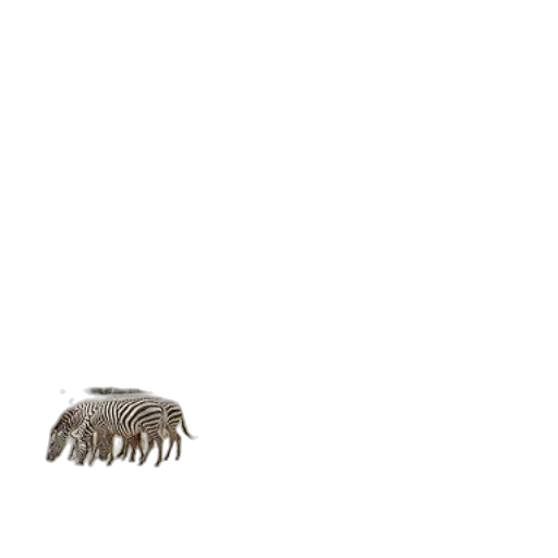 hair, creature, animal, dragon transparent PNG cut-out