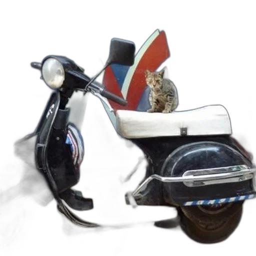 shoes, robot, car, animal, 3d render, concept art, photorealistic, cat transparent PNG cut-out