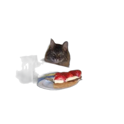 food, shoes, animal, creature, 3d render, photorealistic, cat, peeks transparent PNG cut-out