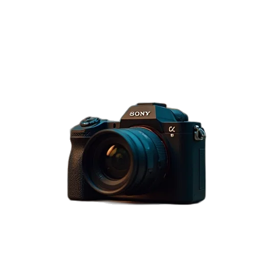 weapon, animal, flower, face transparent PNG cut-out