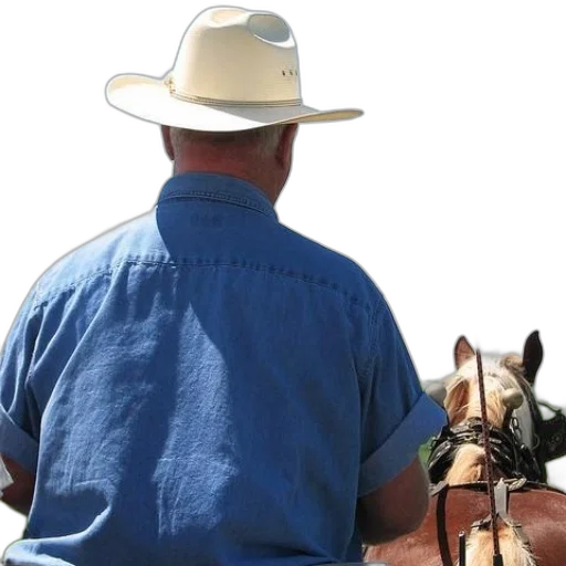 hat, staff, animal, man, blue, shirt, white, riding transparent PNG cut-out