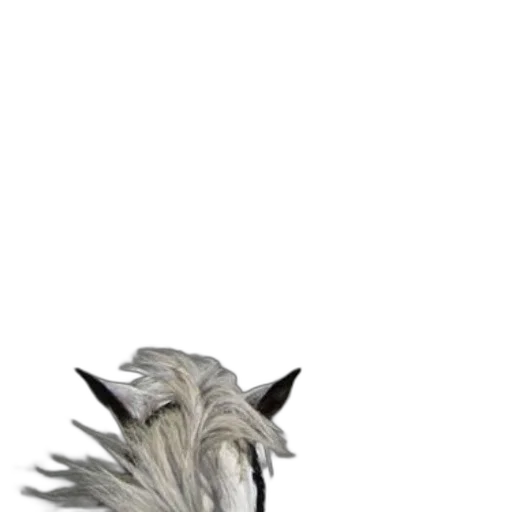 animal, hair, creature, mask, 3d render, concept art, photorealistic, fantasy art transparent PNG cut-out