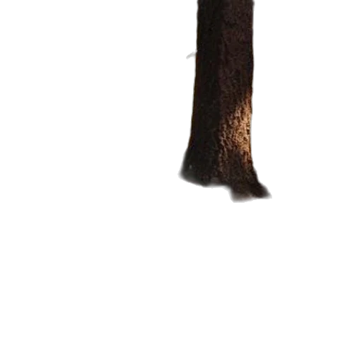 tree, staff, animal, weapon, 3d render, concept art, photorealistic, fantasy art transparent PNG cut-out