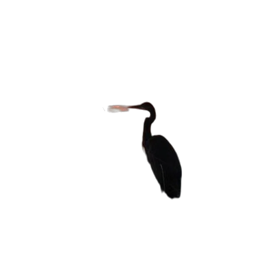 animal, creature, hair, hat, pixel art, photorealistic, concept art, 3d render transparent PNG cut-out