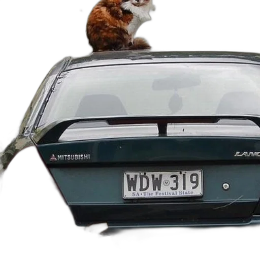 car, animal, cat, sits, top, green, mitsubishi, license transparent PNG cut-out