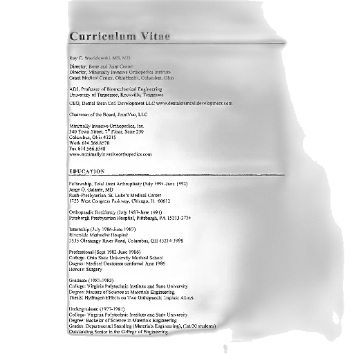 earth tones, monochrome, dark, curriculum, vitae, document, name, ray transparent PNG cut-out
