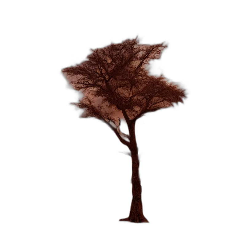 tree, hair, crown, umbrella transparent PNG cut-out