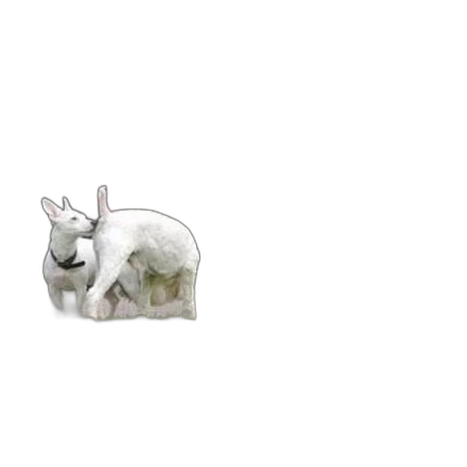 animal, creature, furniture, dragon, 3d render, photorealistic, concept art, pixel art transparent PNG cut-out