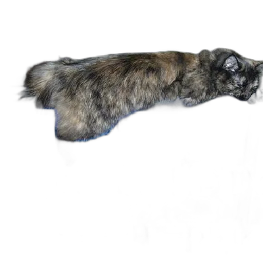 animal, staff, creature, hair, photorealistic, concept art, 3d render, watercolor transparent PNG cut-out