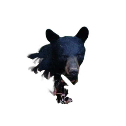 animal, creature, staff, weapon transparent PNG cut-out