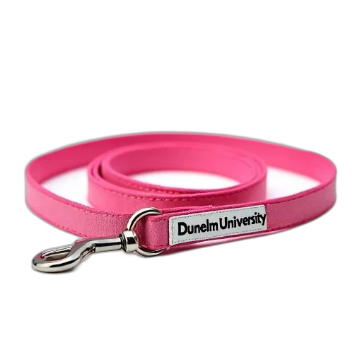 jewelry, pink, dog, leash, silver, buckle, tag, reads transparent PNG cut-out