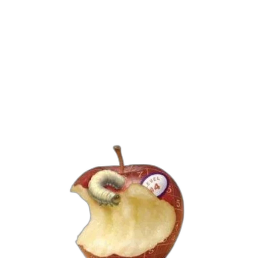 food, animal, staff, crown, 3d render, photorealistic, concept art, pixel art transparent PNG cut-out