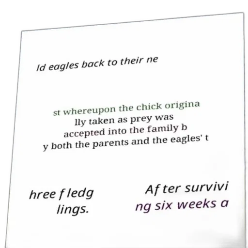 fire, underwater, text-based, image, discussing, process, eagles, returning transparent PNG cut-out